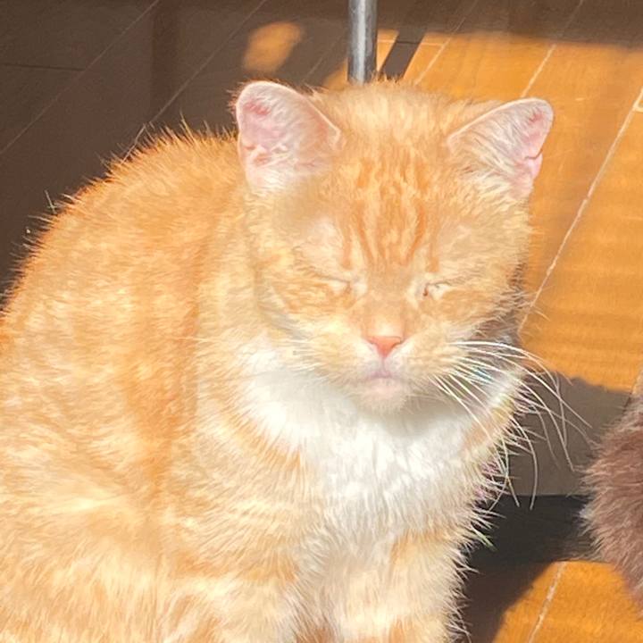 94cf2254 5b0f 474c 95c9 eb6f41cf2234 1578623961742