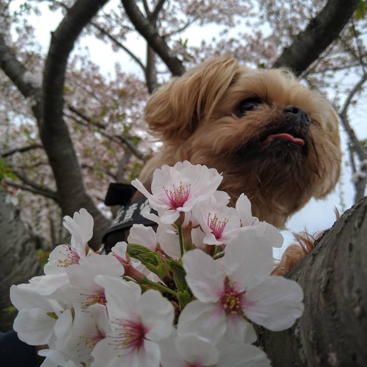 94cf2d41 e6b4 40e5 a1fa 2e765a0b9f6b 1617529262366