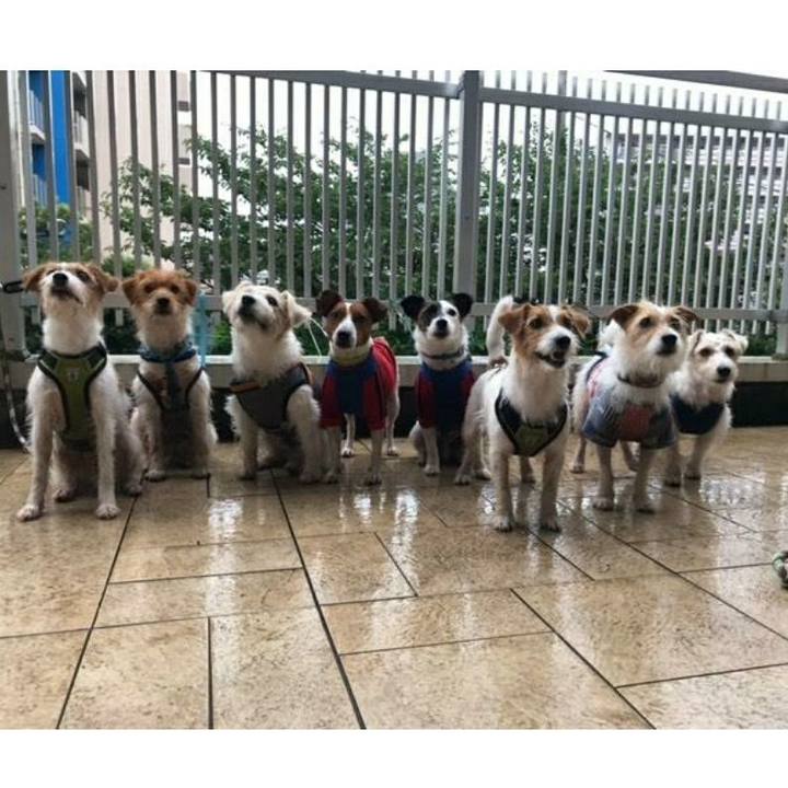 94cf5ac8 90db 4b29 a983 d8c0097ff6e6 1594811933990