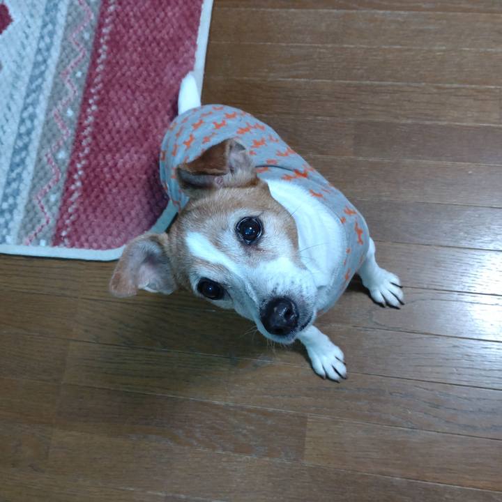 94cf6623 d711 4a47 966a b5b91b2b056c 1768521138357