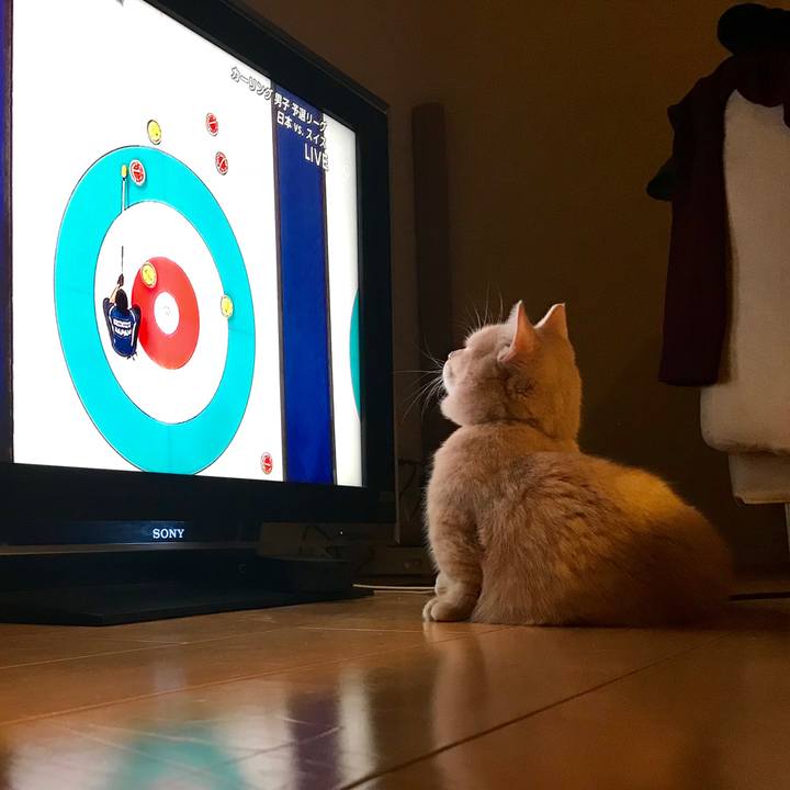 94cf6bdf 122e 4d58 ac80 9cfaff35b0c0 1518783268175