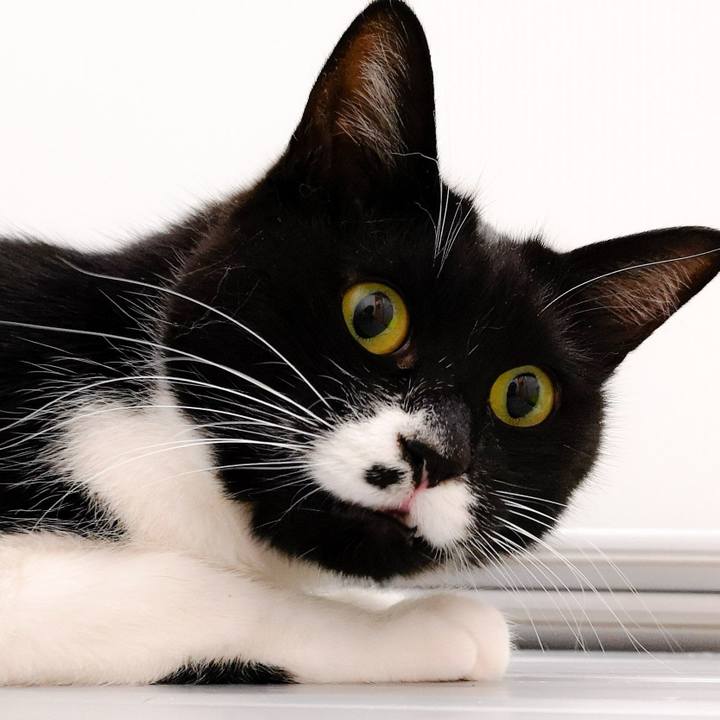 94cf6f9e c01a 4fef 80e7 3fb2cfedcfd9 1557079419044