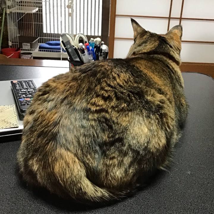 94cfb5cd 518a 4b91 aed1 a411f79b1962 1706830480381