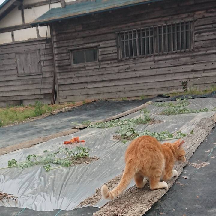 94cfcef0 91e6 4224 8b62 4e51c5766608 1591868573772