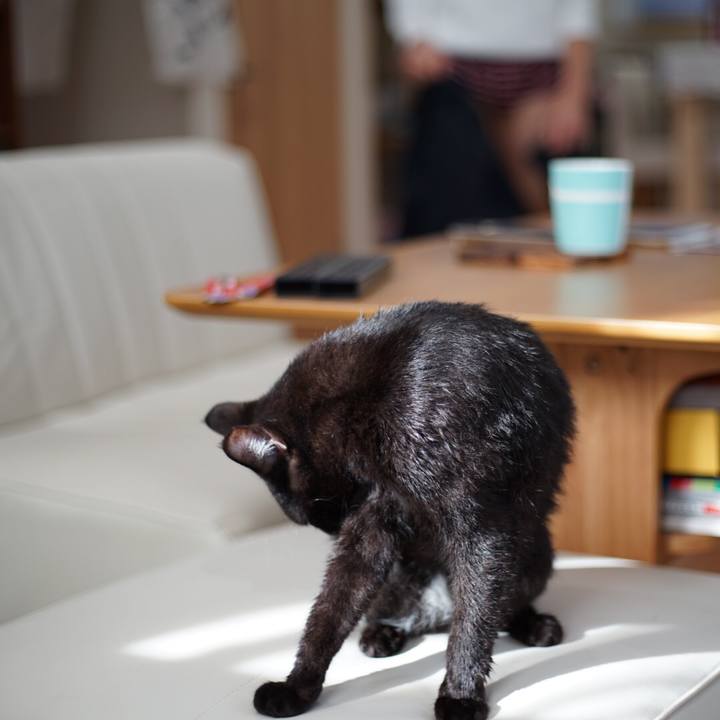 94cfe0eb 1d23 4cba 81ac f4cf2a915d56 1514557571962