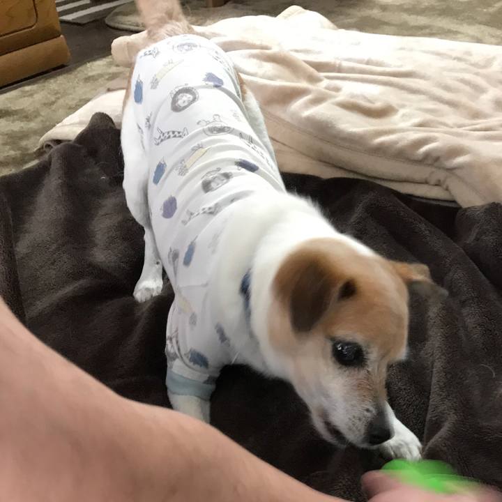 94cfead3 96cb 47d3 ae3a f05366435226 1649374409972