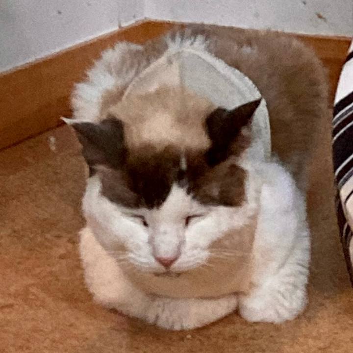 94cffbc9 761d 4377 a00c e5da83b3c62a 1677415185821