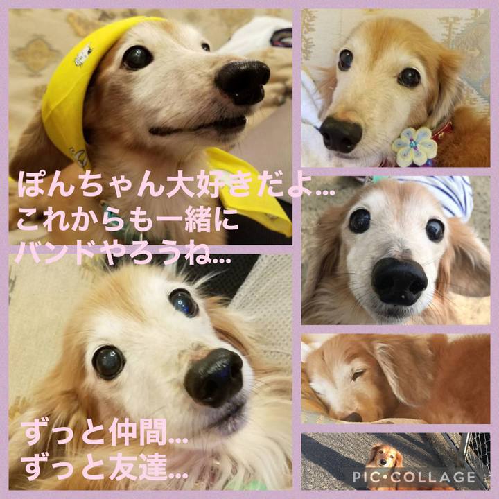 94cffe99 7dc5 4728 a7e8 7046a5b417e2 1615017752340