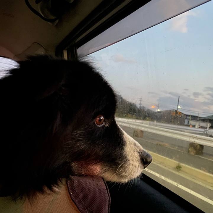 94d02bcc c1dc 4d16 ac75 ae66aad03a71 1672437805934