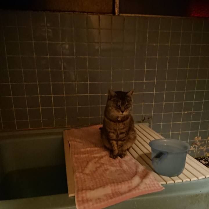 94d0337d 011c 43ba ad7b ccdc36291e58 1573204869906