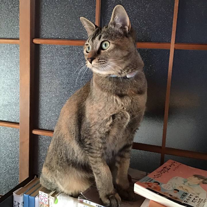 94d033ca 8903 461a 80d9 ecd97e004246 1580547119111