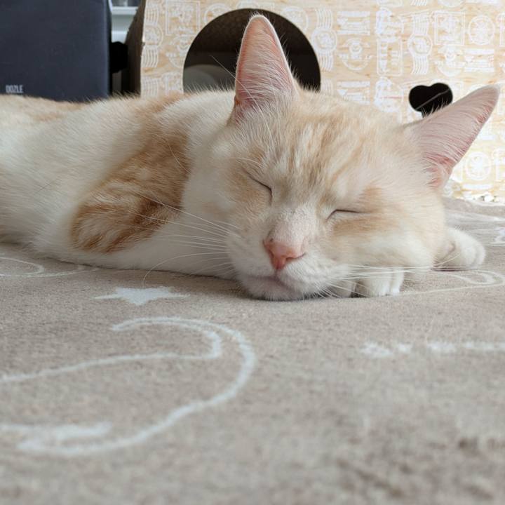 94d045c8 3e7f 4387 8eeb e26957db50ec 1744676759239