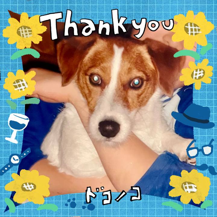 94d054d0 ccb1 41dc 8d26 5fd153628133 1718015864550