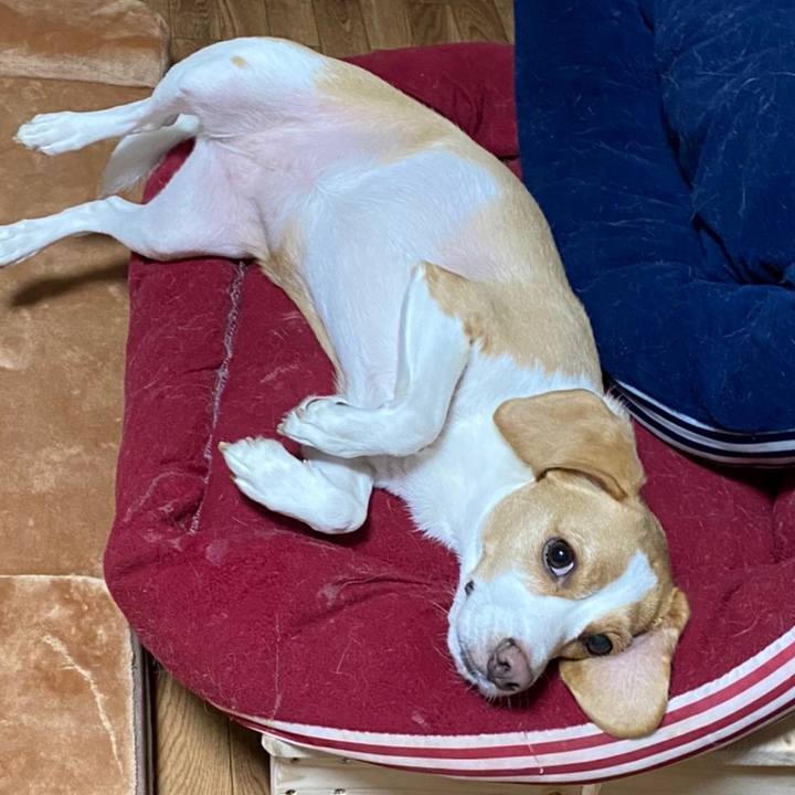 94d0716f b57c 4b56 a571 1a0f0aaa4000 1601642869168