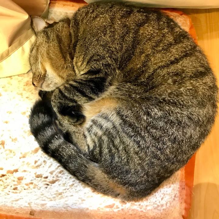 94d072e2 a739 4461 9b3b c10d9b3afecd 1538312663598