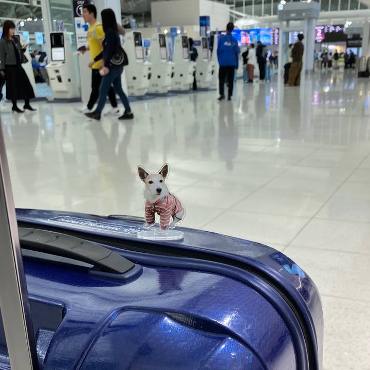 94d0b29c 443b 41ce 9316 b57e5132ea68 1742885323467