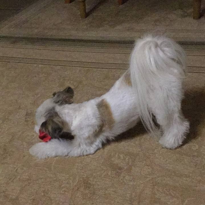 94d0fb60 012e 4b54 ad0f 8c63fa5ea77d 1508277503358