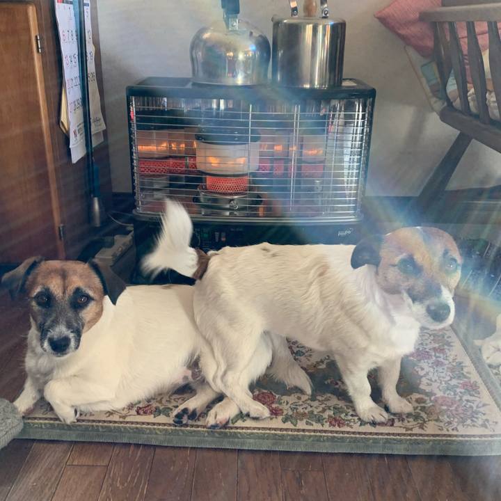 94d12154 769c 4eaa b7a4 6035784493fe 1609416665022