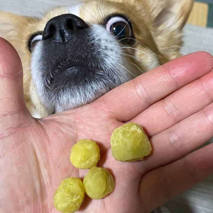 94d12bf0 c8f8 4101 8cf6 4e4c13cdb951 1738936977217