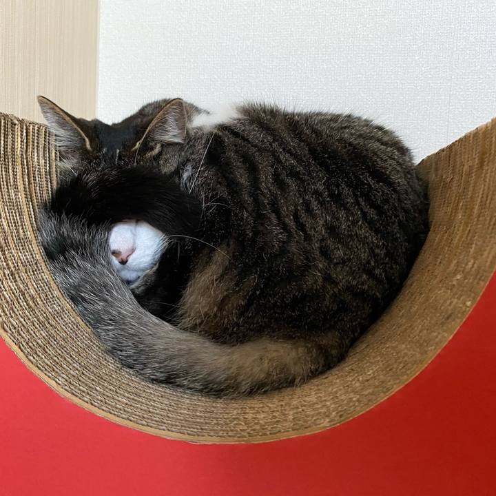 94d132b1 bff7 48d4 9d91 98caf9adced5 1587196955171