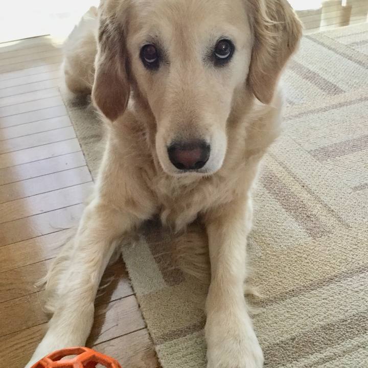 94d165ac 09c8 4053 bbd4 6b4d4f9b645f 1528930965192