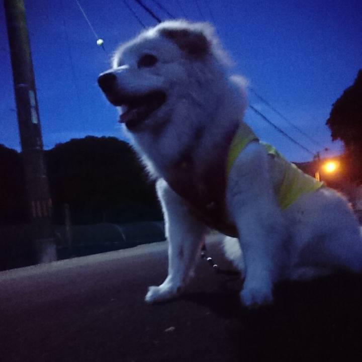 94d18d13 c686 4c4c 968c d144ded54dbd 1560423119767