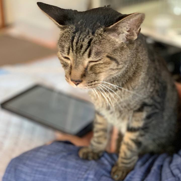 94d1a98d f725 4d7d 818a 96a7068717f6 1598835816429