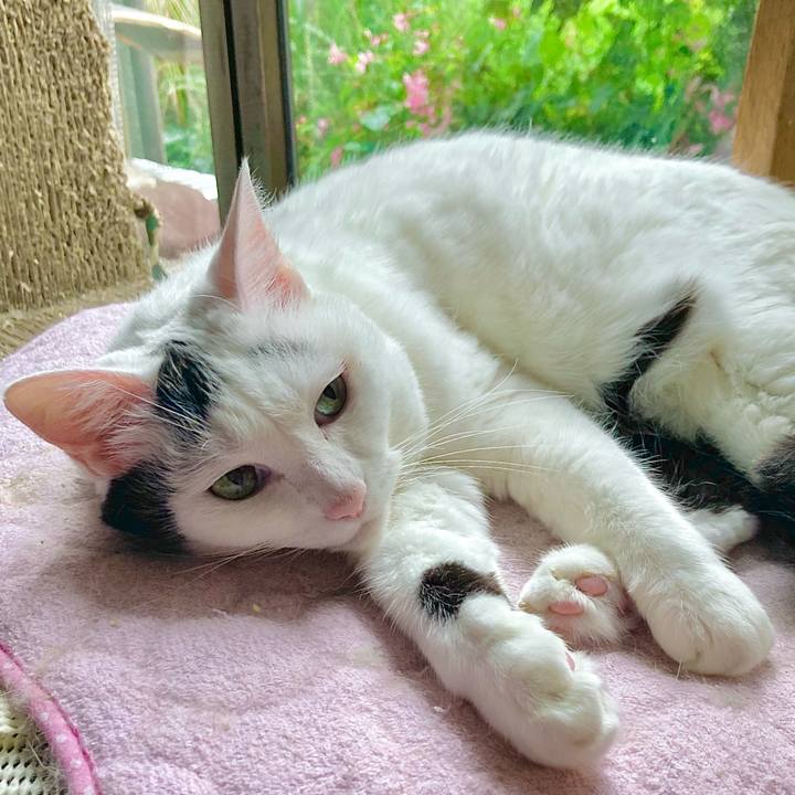 94d1ca37 a69f 4694 8768 b308c51e4c4f 1663547949063