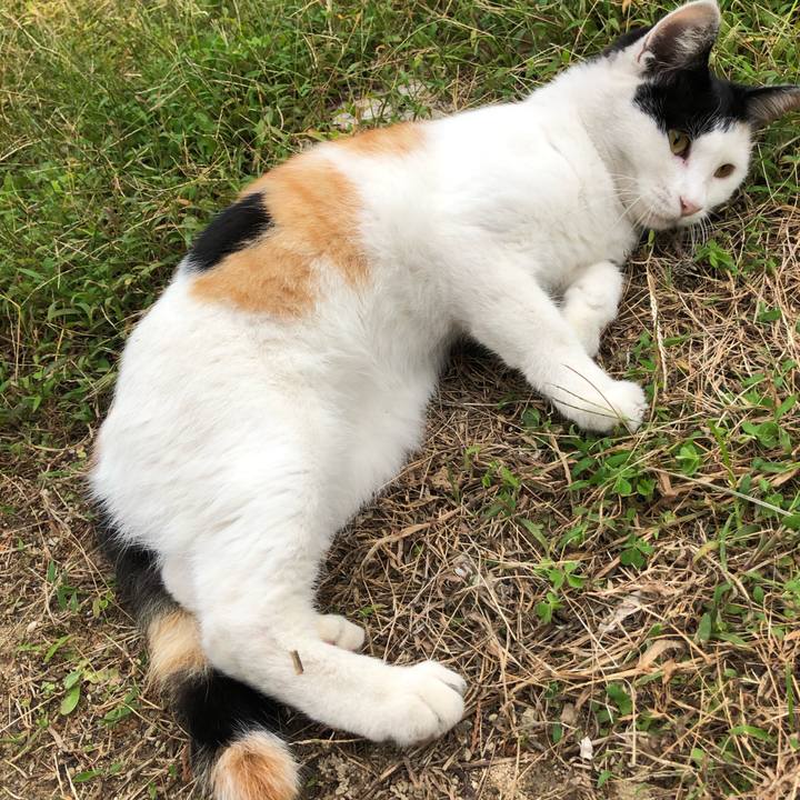 94d24c89 5ba9 42f7 b746 262094d32565 1600857759309