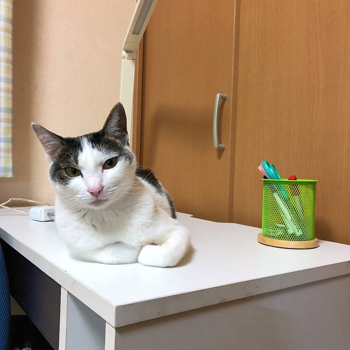 94d254c3 5e0b 4009 bc45 a96d3d629785 1654263504946