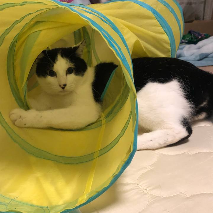 94d26727 299e 4eb0 8b2e 3734b8ddd821 1576494416330