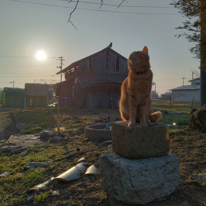 94d281e9 a726 4e13 8470 138f85048f55 1680302850228