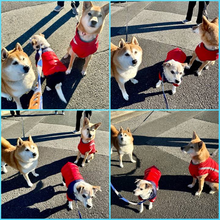 94d2894a 3b72 4279 af43 648e56503f8f 1737867003634