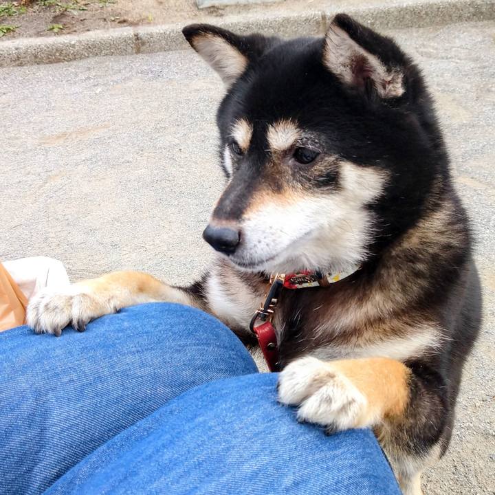 94d29281 9272 4a89 a962 68774ce4f08e 1616594784535