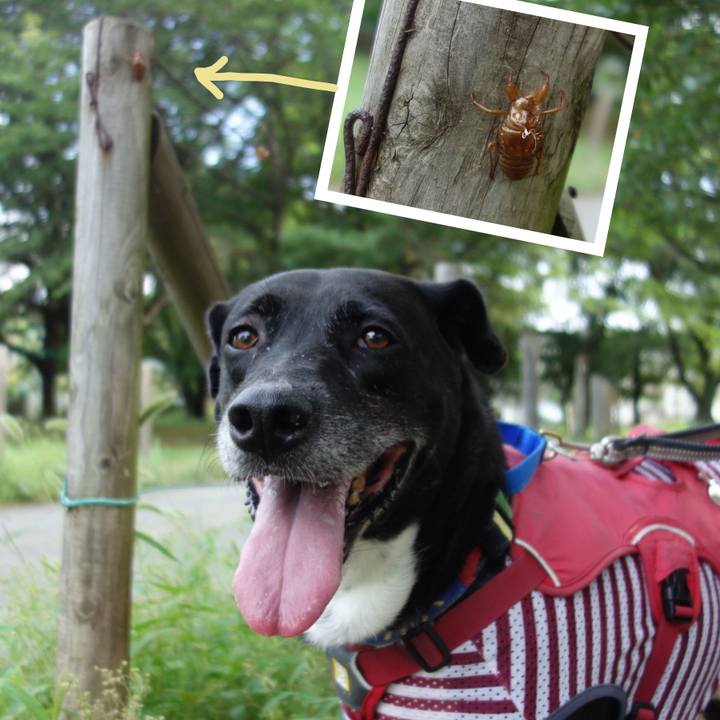 94d2abae 057c 47f3 a344 8a85cf9b7109 1689897984381