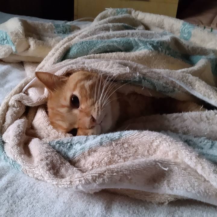 94d2f1a6 2c62 44b0 9b48 91efb0e8cff3 1695164153427