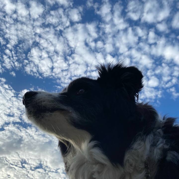 94d33100 7566 480c 9a4d edc2eb1ba052 1717147187031