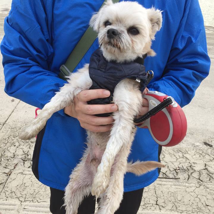 94d362ca 76cf 4ddd 997e e2cd0fe3738a 1549181920090