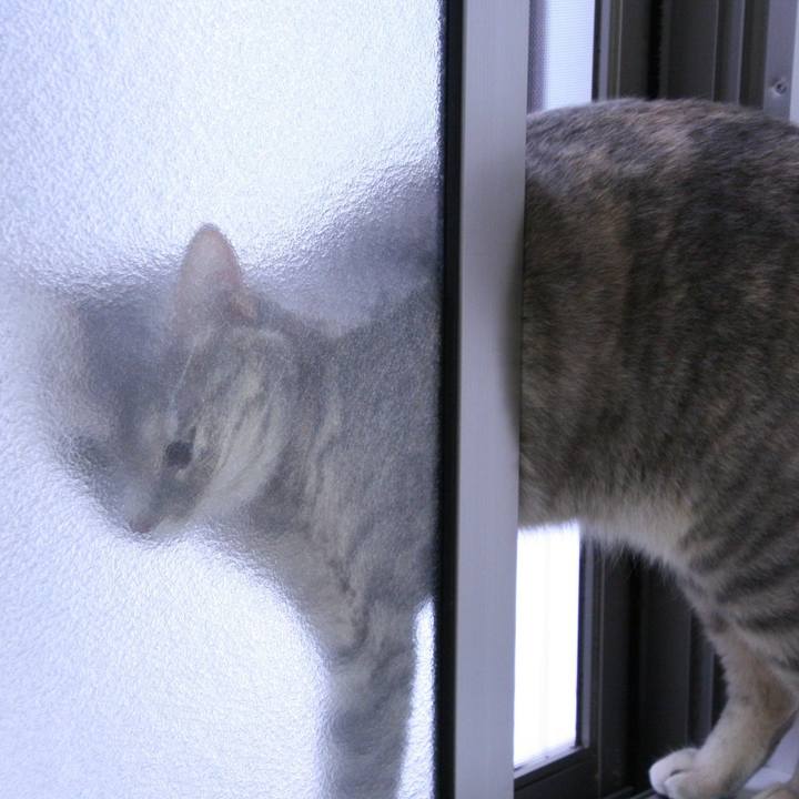 94d37c25 8d74 4b70 95ad 71e0cc10338d 1507852701147