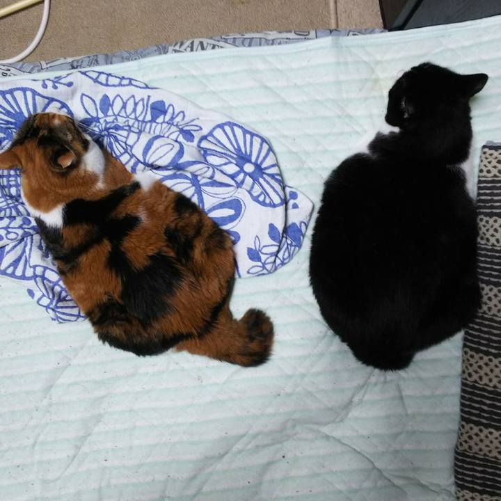 94d39771 6b63 4a8b b1b9 e87263944d7a 1537474116240