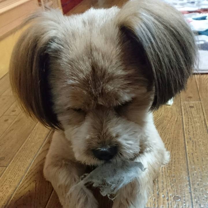 94d3c616 9f31 4441 a490 76c00e656b07 1510870885755