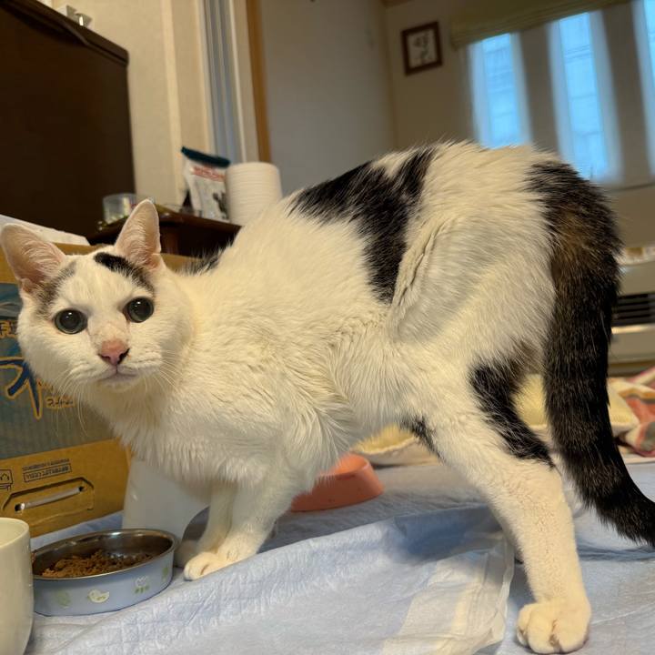 94d417ac c9bb 4c43 9537 aded03dc6018 1763596576084