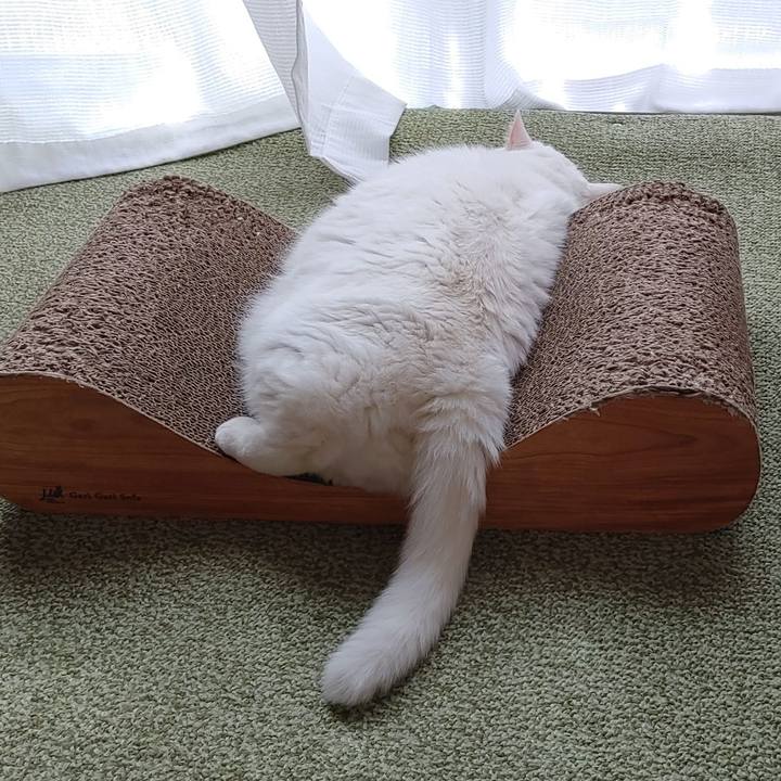 94d44091 030c 4380 b54a e3f4ece12e29 1664755912796