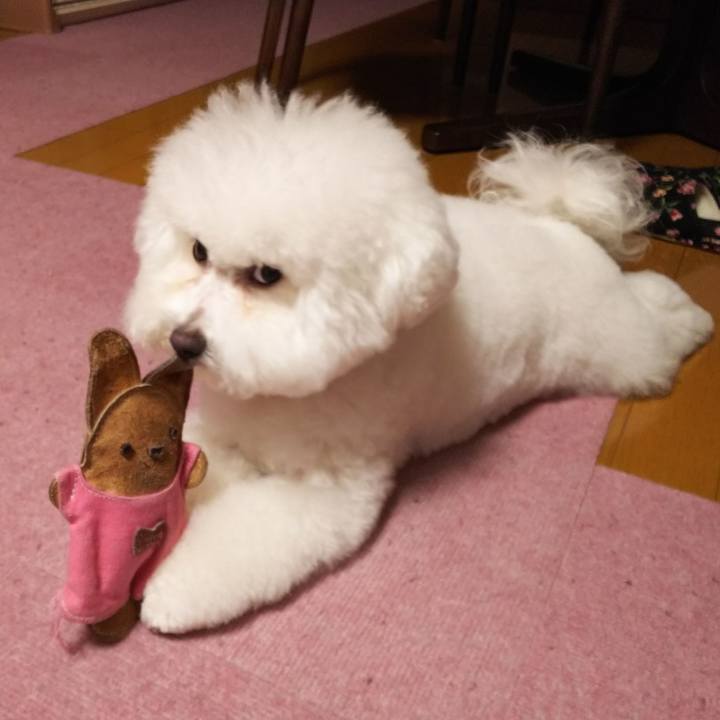 94d462e6 ed5b 4cc5 bc5f 75a9c283f277 1527738899694