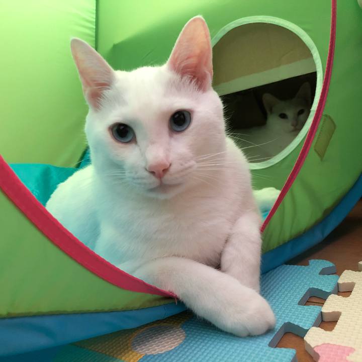 94d4e118 fa23 426a becb 559c097364fd 1537709382872