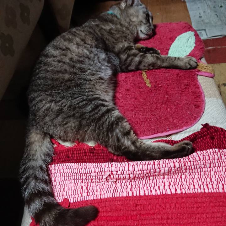 94d4e23a 7318 49c7 9db2 d7b4f7712b9f 1564224482949