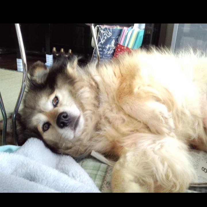 94d4ee97 aeaf 4916 91a3 100c3aaf0ade 1617255476712