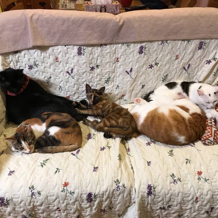 94d59eca dc16 45dc a988 10b0b3afb70b 1604828528613