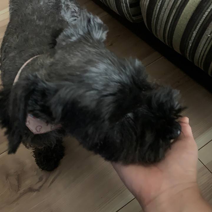 94d5bc80 71ee 4693 9f72 9599f779af4a 1619928751915