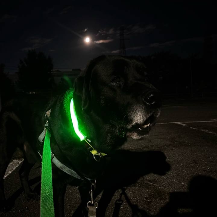 94d65bc2 c079 47e5 ae91 659d50ab623d 1762520866589